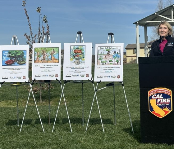 “Trees Play a Crucial Role in Public Health”: Blue Shield Celebrates California Arbor Week 