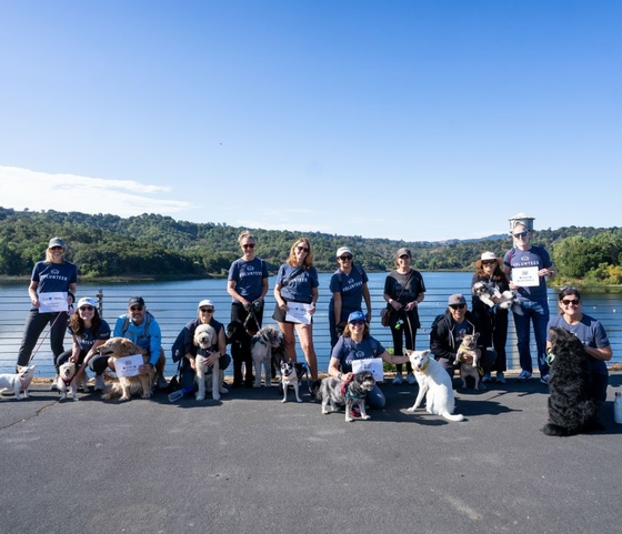 Hundreds of Blue Shield Employees — and Their Pets — Join Forces With Pet Partners for the World’s Largest Pet Walk