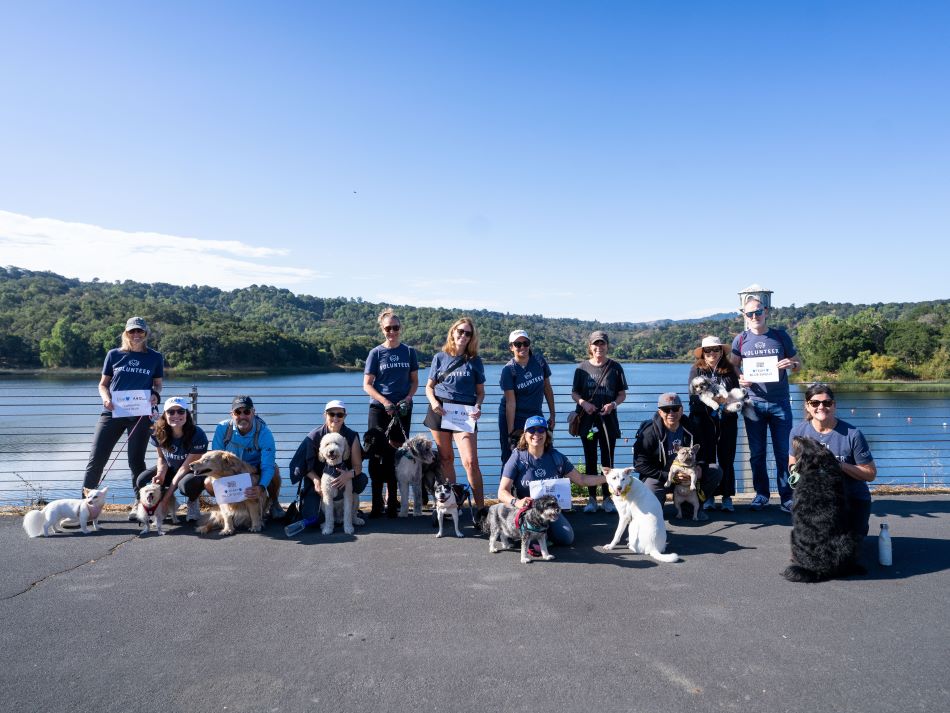 Blue Shield Employees and Their Pets Unite with Pet Partners for the World’s Largest Pet Walk | Blue Shield of California