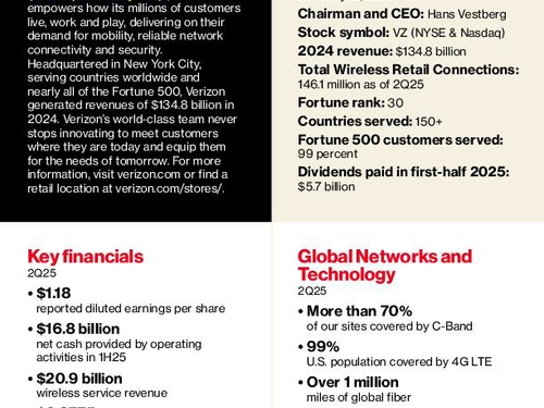 Verizon Corporate Fact Sheet