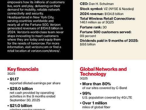 Verizon Corporate Fact Sheet