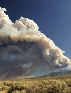Incendios forestales en California: cómo obtener ayuda y preservar su salud en medio de una pandemia.
