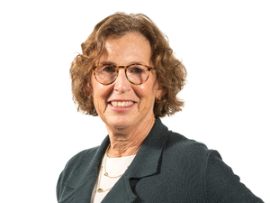 sue fleischman new