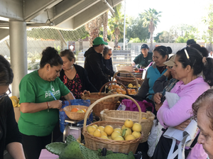 Pacoima Beautiful crop
