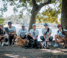Más De 400 Empleados De Blue Shield Y Sus Amigos De Cuatro Patas Marcaron La Diferencia Con La Organización No Lucrativa Pet Partners 