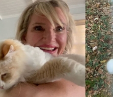 Kelly Stern and her cat on leash pic together