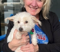 Dolly passes Pet Partners cropped