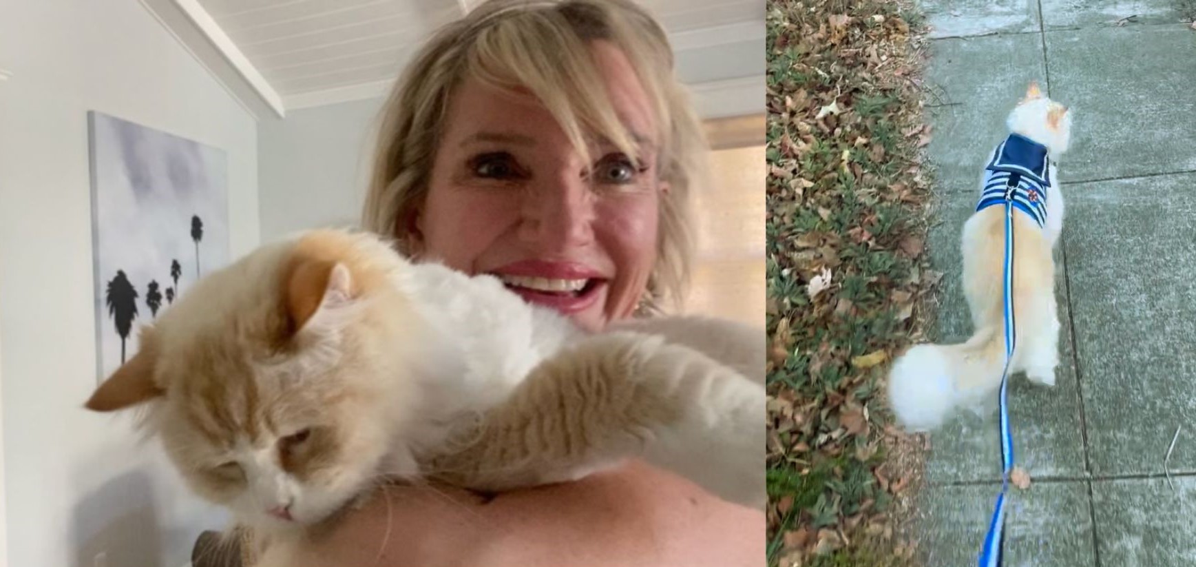 Kelly Stern and her cat on leash pic together