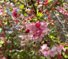 spring 3