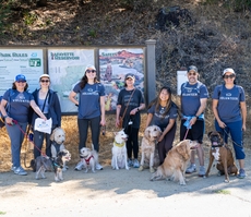 Pet Walk