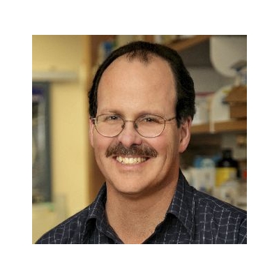 Wilmot Cancer Stem Cell Scientist Featured in NCI Bulletin