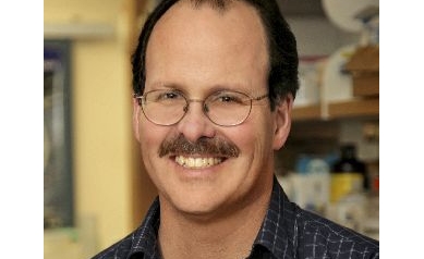 Wilmot Cancer Stem Cell Scientist Featured in NCI Bulletin
