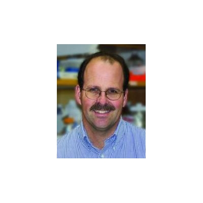 Controversial Cancer Stem Cells Offer New Direction for Treatment