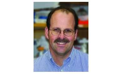Controversial Cancer Stem Cells Offer New Direction for Treatment