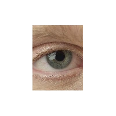 Researchers Study Improving Life for Those with Macular Degeneration