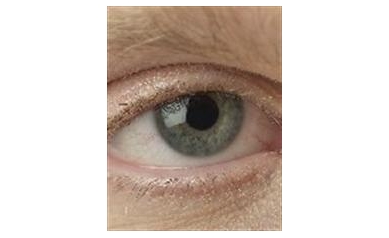 Researchers Study Improving Life for Those with Macular Degeneration