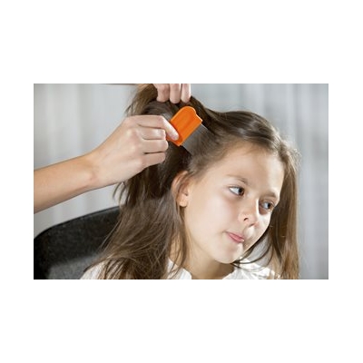 Head Lice: Scratching Below the Surface