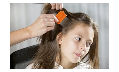 Head Lice: Scratching Below the Surface