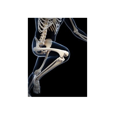 Obesity + Lead Exposure, Bad for the Bones