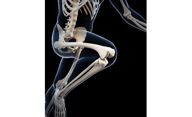 Obesity + Lead Exposure, Bad for the Bones