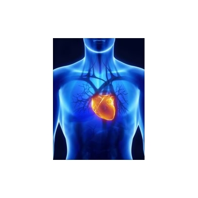 URMC Heart Research Expands to Asia
