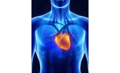 URMC Heart Research Expands to Asia