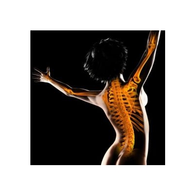 Scientists Test Malaria Drug for Bone Diseases