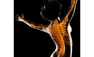 Scientists Test Malaria Drug for Bone Diseases