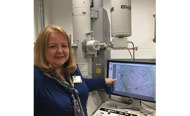 Bacteria Responsible for Incurable Bone Infection Hide in Bone Micro-Channels