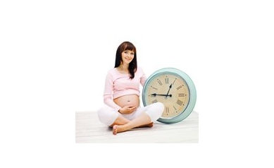 Unwinding The Ovarian Clock to Understand Fertility