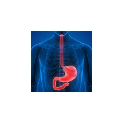 Esophageal Cancer Research Defines Precise Features of Tumors