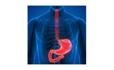 Esophageal Cancer Research Defines Precise Features of Tumors