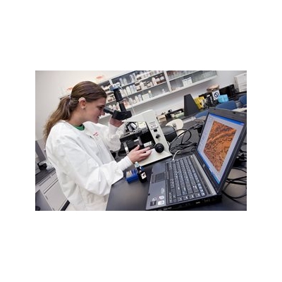 Meeting the Needs of Deaf Scientists: Creating a Diversity Hub of Innovation in Rochester