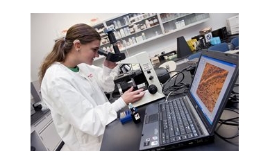 Meeting the Needs of Deaf Scientists: Creating a Diversity Hub of Innovation in Rochester