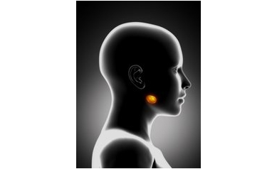 Driving Away Dry Mouth from Cancer Treatment