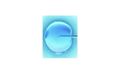 Obesity Lowers Success of IVF