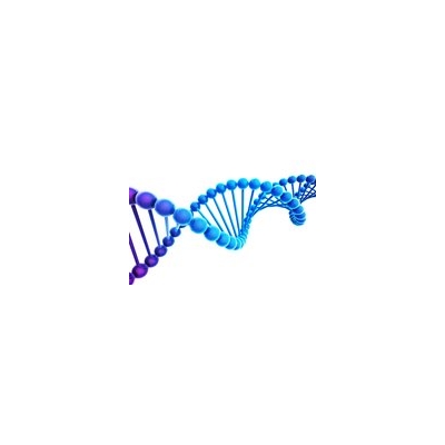 Review: Giving Gene Editing Technology CRISPR-Cas9 a Boost