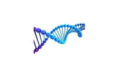 Review: Giving Gene Editing Technology CRISPR-Cas9 a Boost