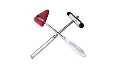 Hammer Blow Reveals Rare Muscular Dystrophy