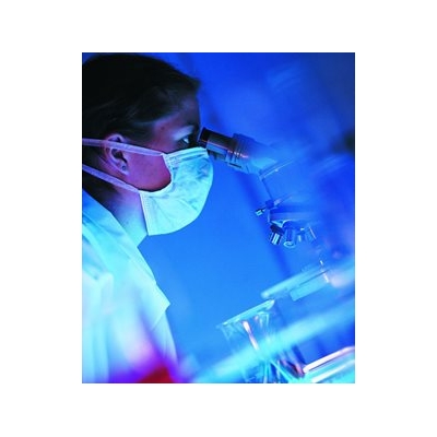 Researchers Awarded $3.5 Million in NYS Stem Cell Grants