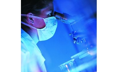 Researchers Awarded $3.5 Million in NYS Stem Cell Grants