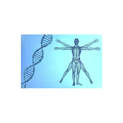 Study Finds Link Between Rare Genetic Mutation and Osteoporosis