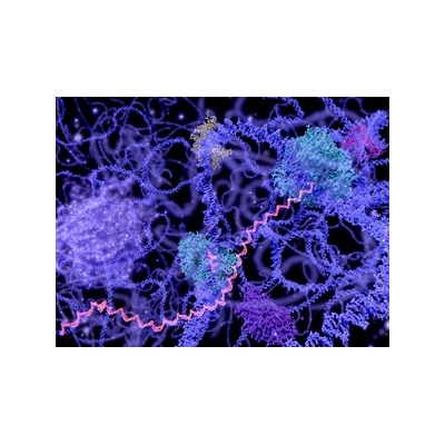 Heard of the Microbiome? Meet the MicroRNAome.
