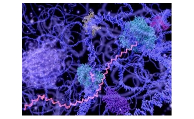 Heard of the Microbiome? Meet the MicroRNAome.