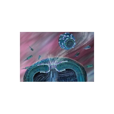 Breakthrough in Understanding New Class of Antibiotics
