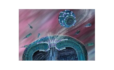 Breakthrough in Understanding New Class of Antibiotics