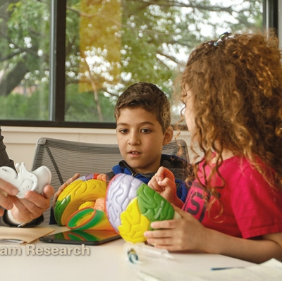 Intellectual and Developmental Disorders: Creating a Model System