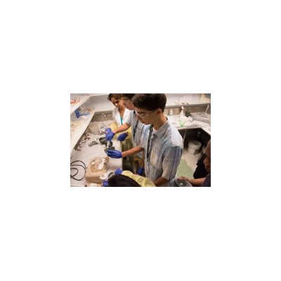 High Schoolers Explore a Career in Dentistry