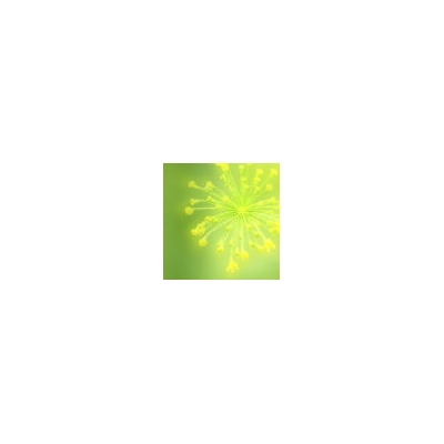 Allergy Alert: Prepare for ‘Pollen Explosion’