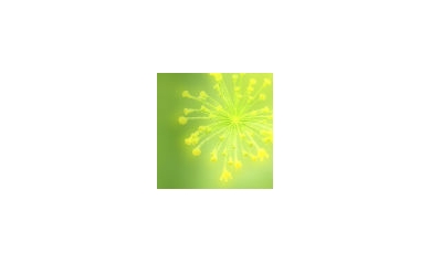 Allergy Alert: Prepare for ‘Pollen Explosion’